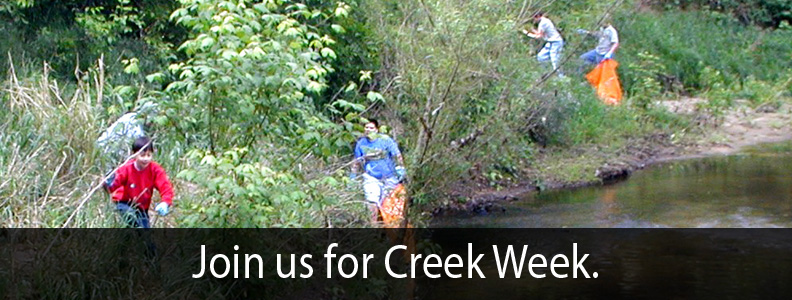 Join Us for Creek Week