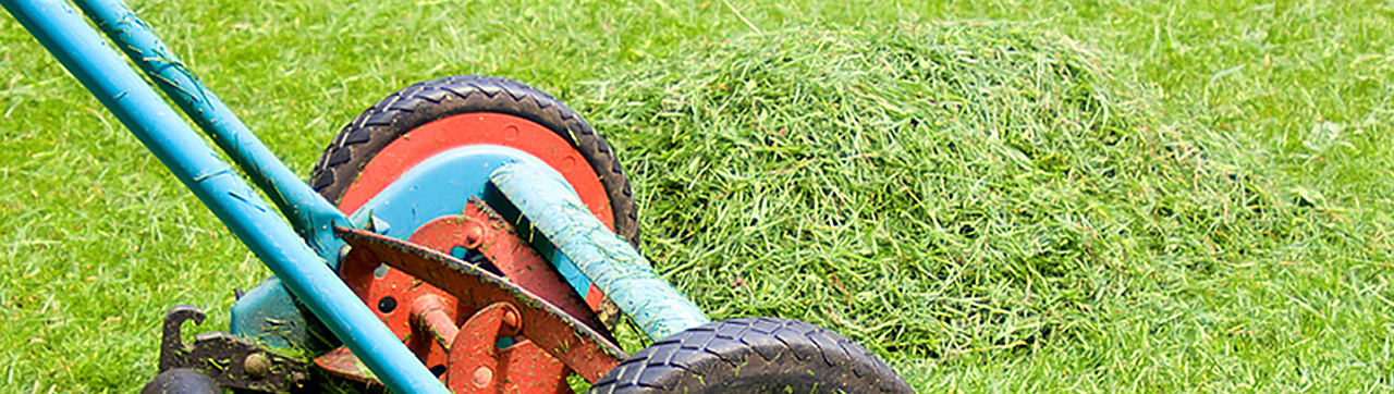 Fertilize with your lawn clippings!